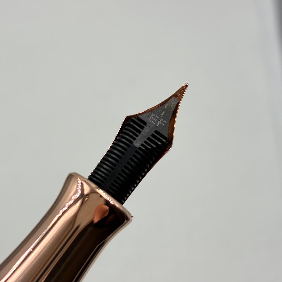 訳アリ AURORA アウロラ 万年筆 ダンテ・パラディソ 920-CPW