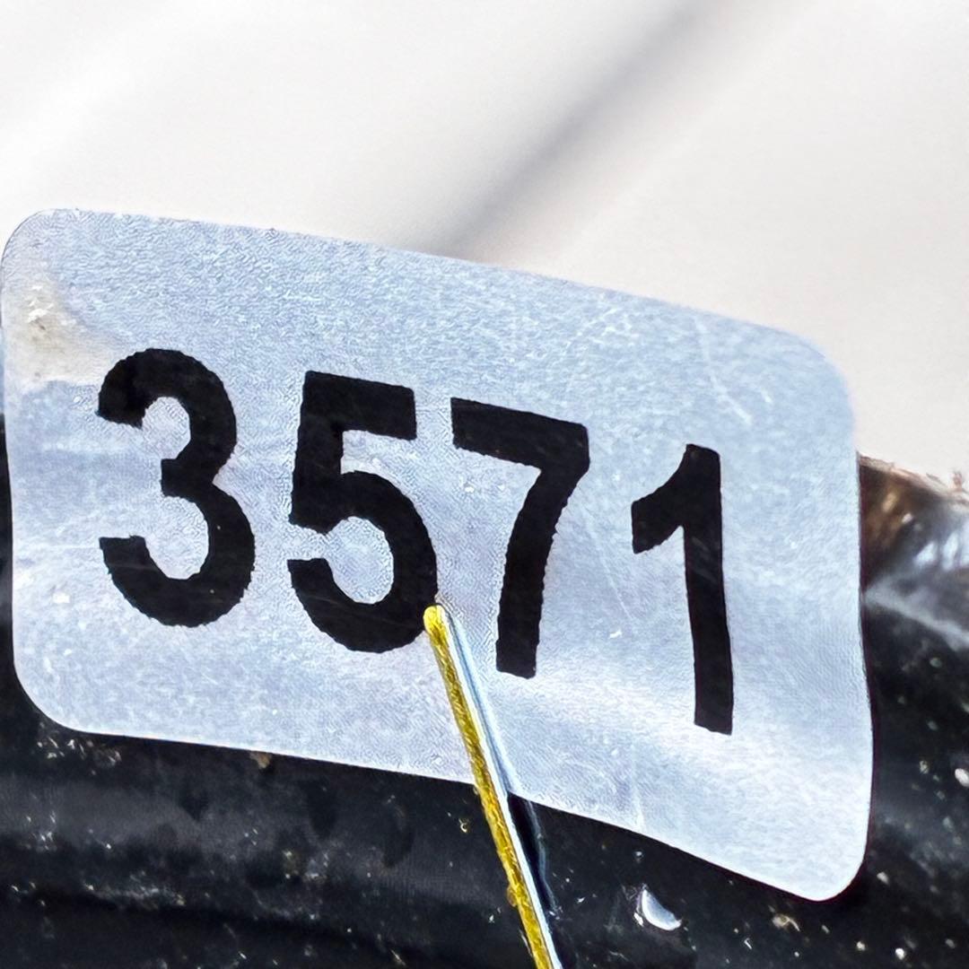 ヘ*6様 571☘️花蕾付☘️⭐️糸ピコSD⭐️イエローフジタ⭐️小輪⭐️オーレ