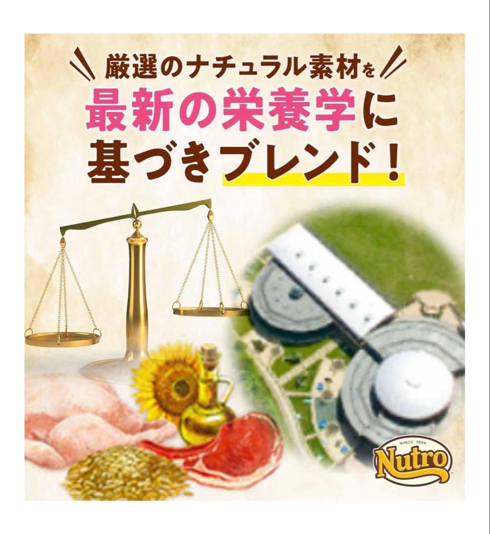 Nutro ナチュラルチョイス シニア犬用 中型犬~大型犬用ラム&玄米7.5kg