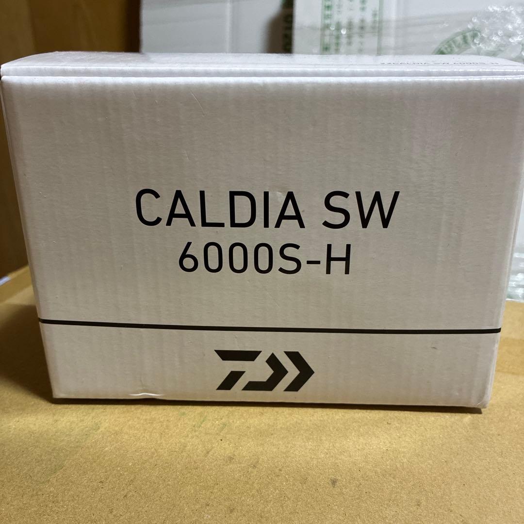 CALDIA SW 6000S-H スピニングリール