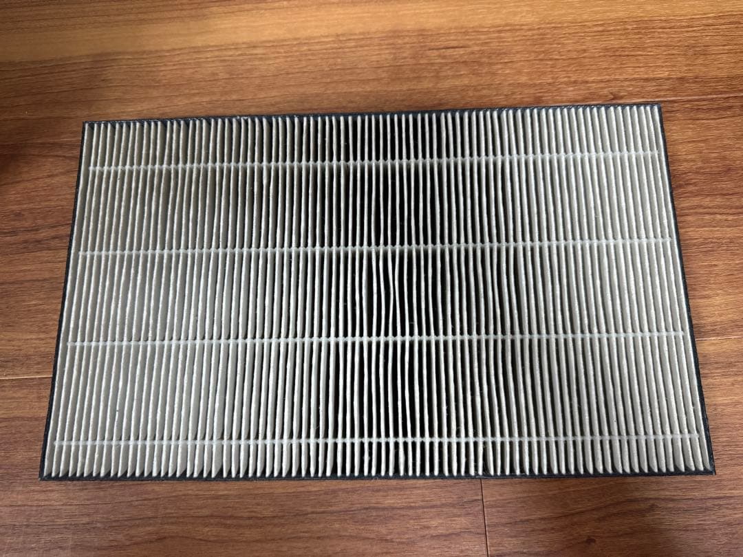 Rinnai 空気清浄機付きガスファンヒーターRC-T5801ACP 都市ガス用