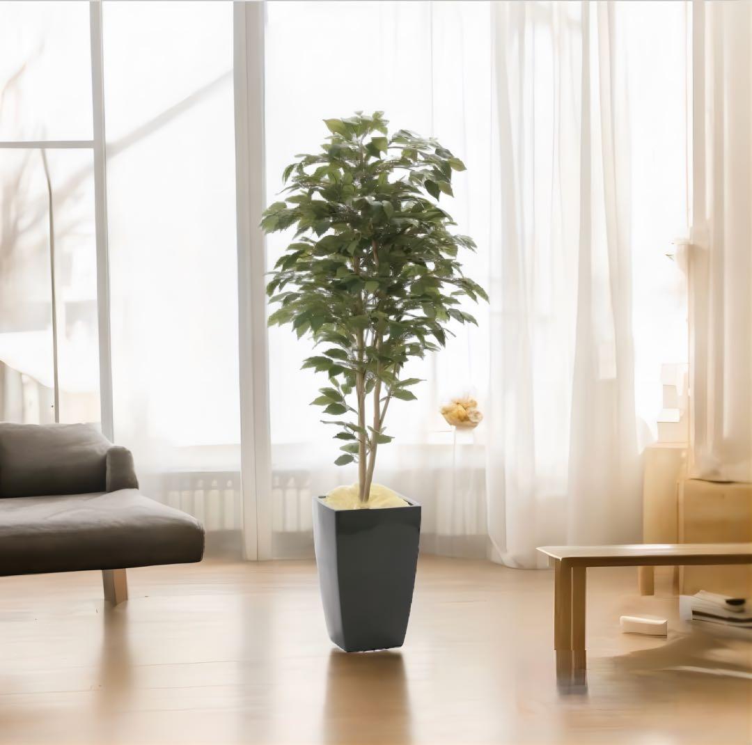 光触媒　人工観葉植物　フェイクグリーン　アーバンベンジャミン1.8