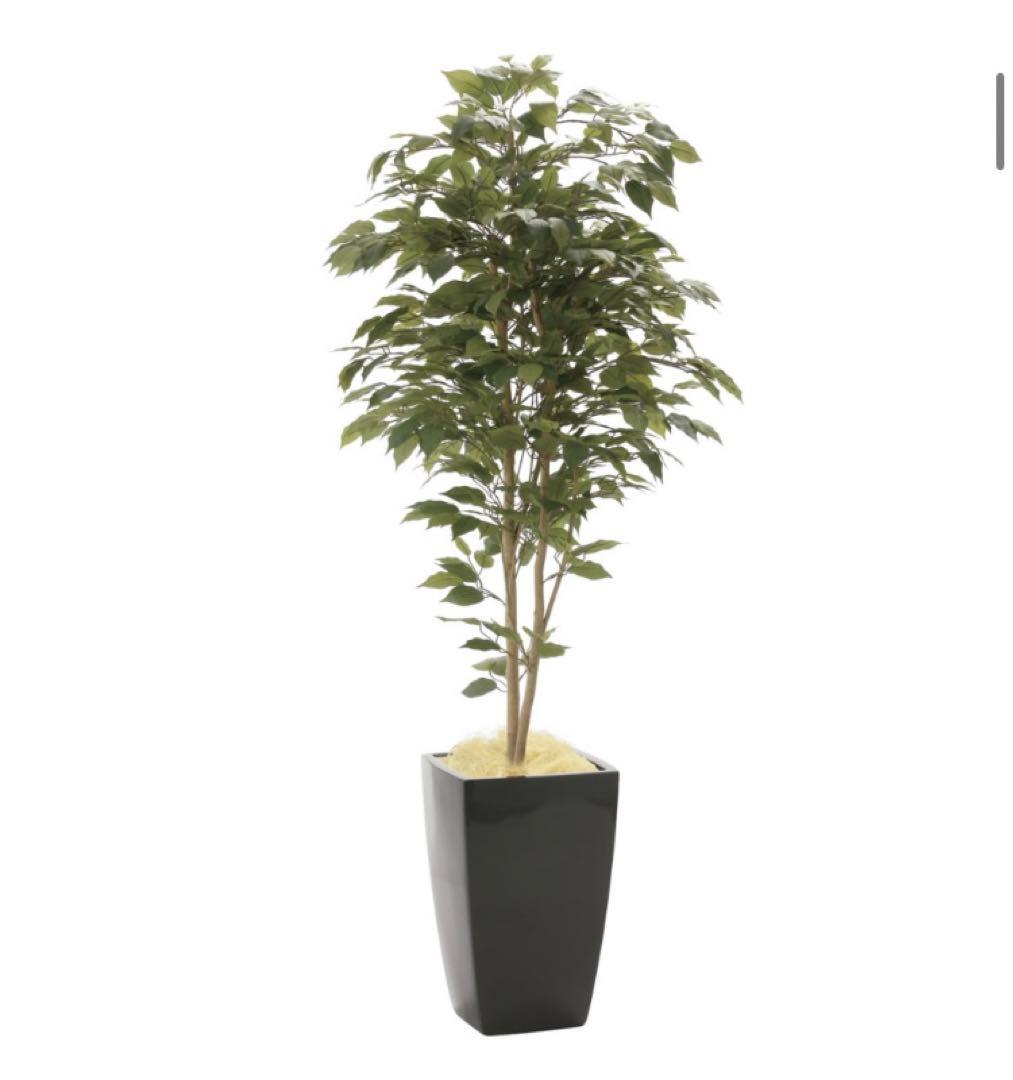 光触媒　人工観葉植物　フェイクグリーン　アーバンベンジャミン1.8