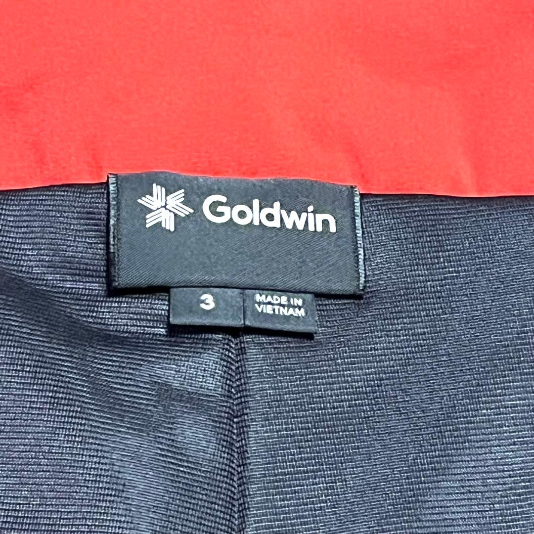 【1点限り】GOLD WINゴールドウィン/スキースノーボードウェア/メンズ