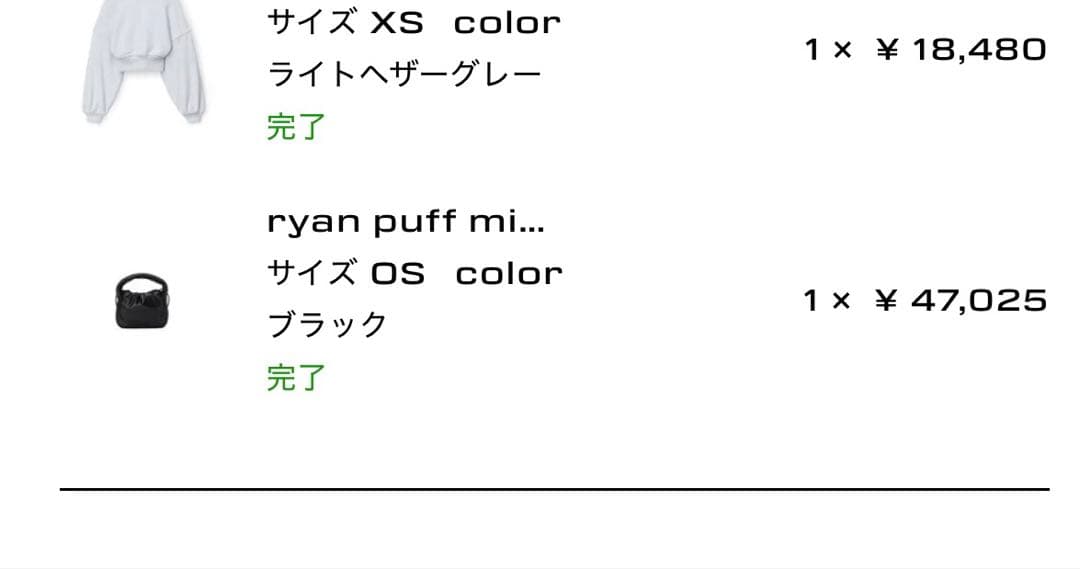 【alexanderwang】ミニショルダーバッグ