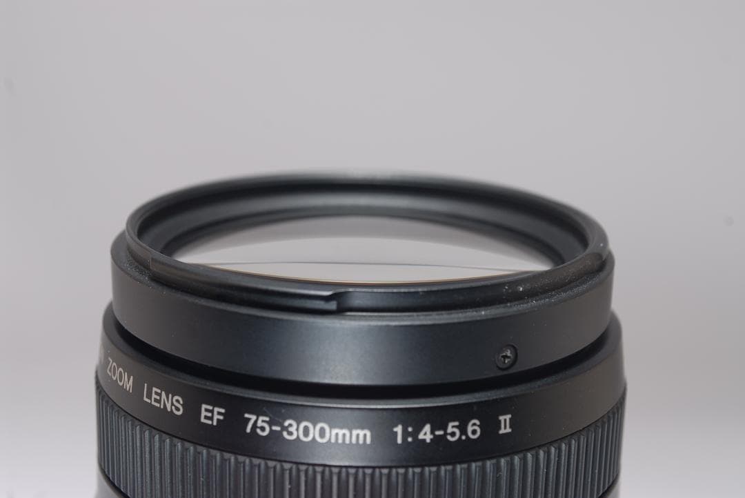 ⭐️すぐに始めれる⭐️Canon kiss x2 ダブルレンズセット