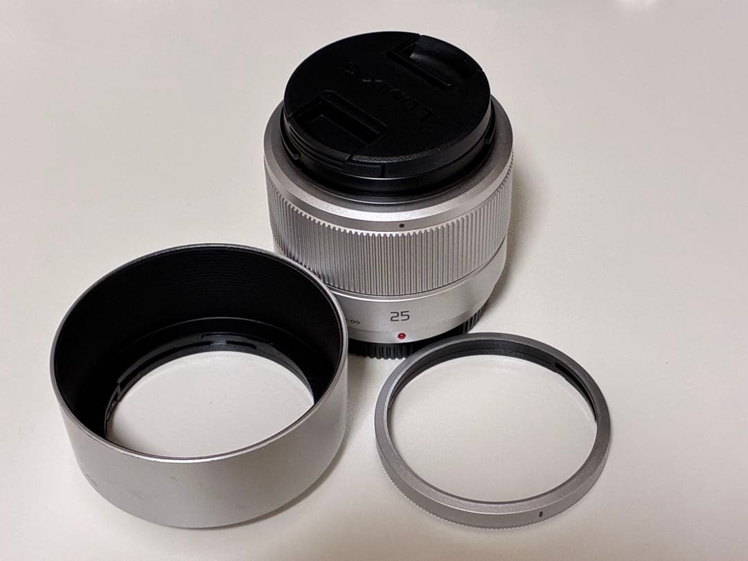 LUMIX GF10 ミラーレスカメラ　本体 付属品あり