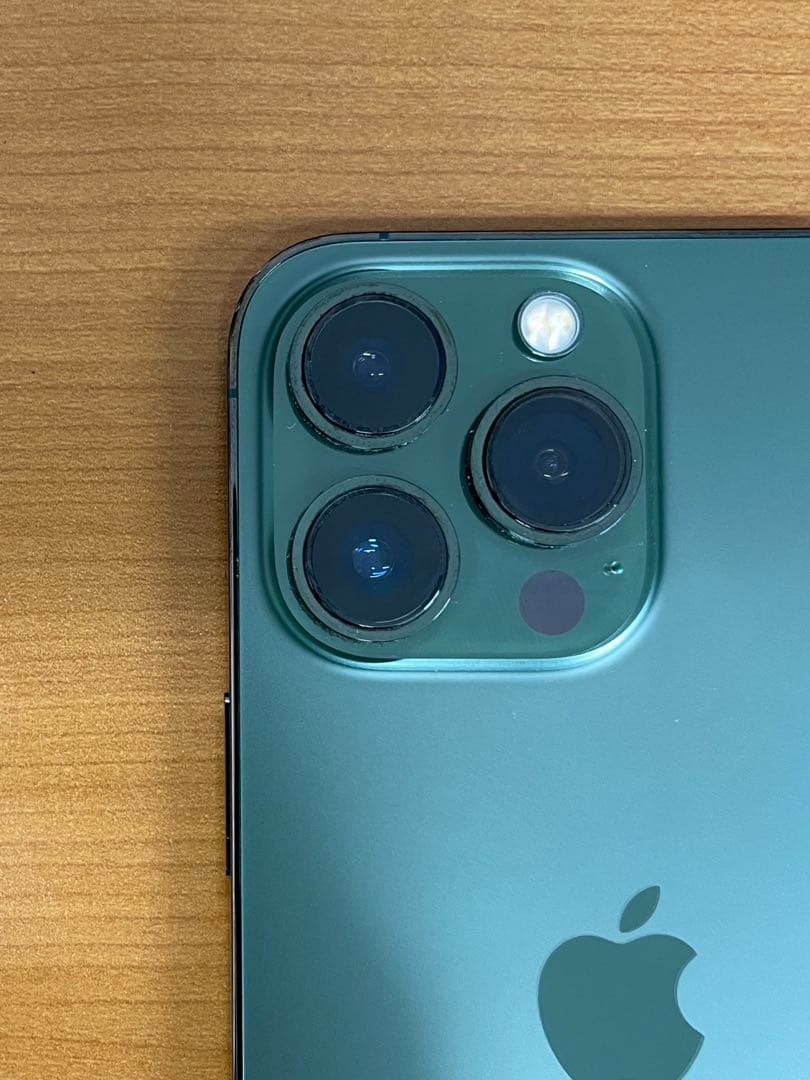 動作確認済み iPhone 13 Pro ID T5621