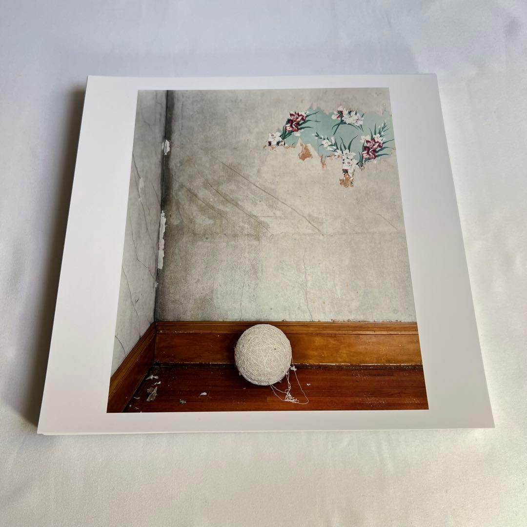 Alec Sothアレック・ソス写真集【Gathered Leaves】限定版