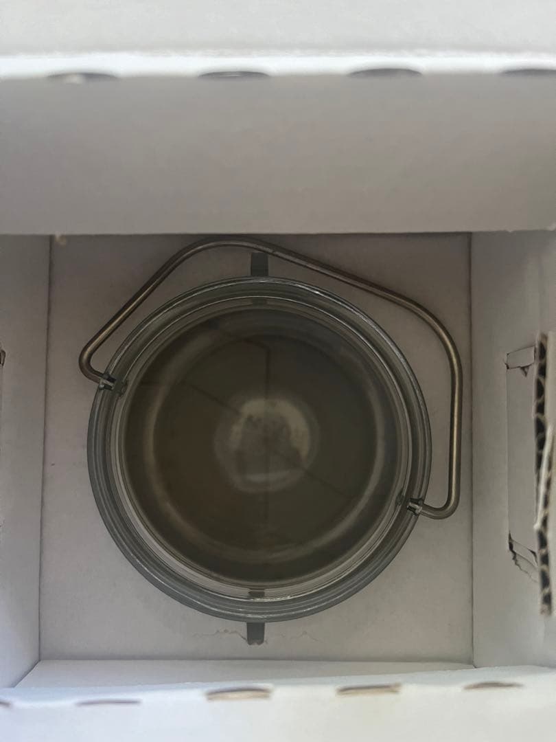 ✴︎Ranko.I　スカーラ