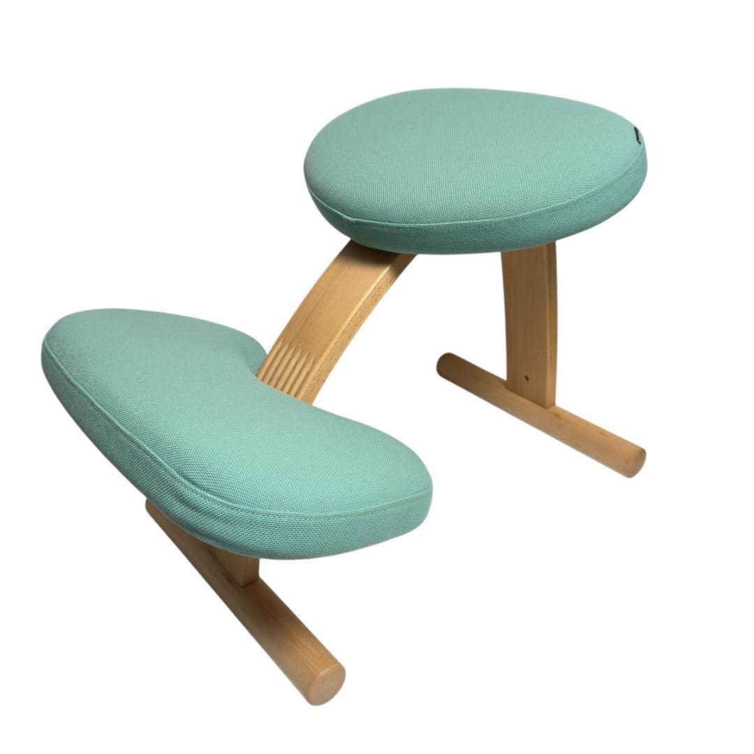 美品　サカモトハウス バランスイージー カバー付き