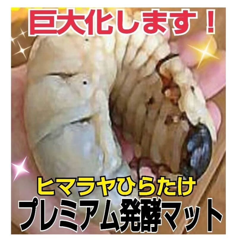 極上！プレミアム3次発酵カブトムシマット【6袋セット】ギネスサイズ羽化実績多数