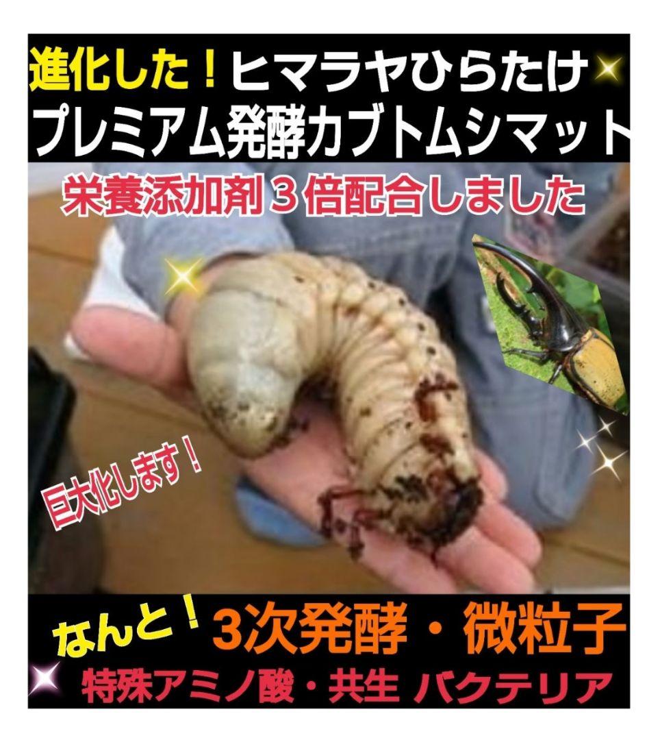 極上！プレミアム3次発酵カブトムシマット【6袋セット】ギネスサイズ羽化実績多数