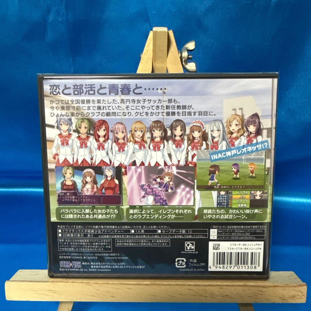 高円寺女子サッカー3 〜恋するイレブン いつかはヘブン〜 3DS