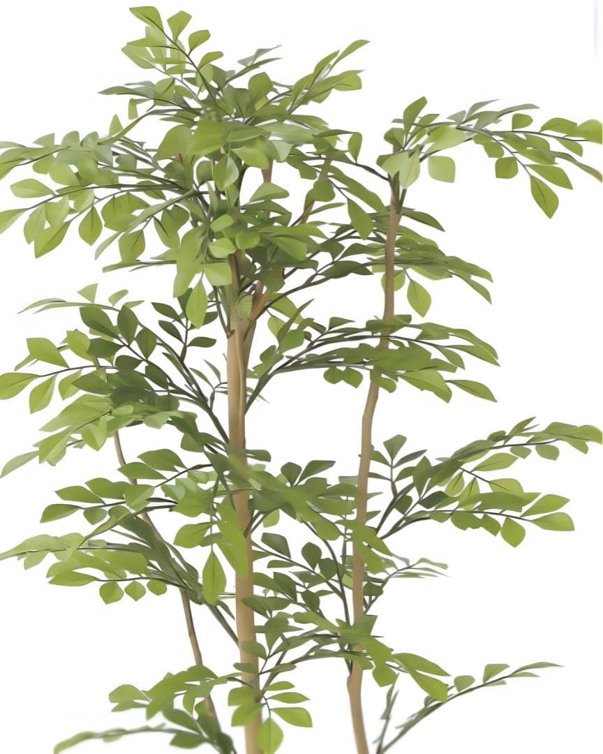 光触媒　人工観葉植物　ウォールグリーン　フェイクグリーン　ライトトネリコ1.0