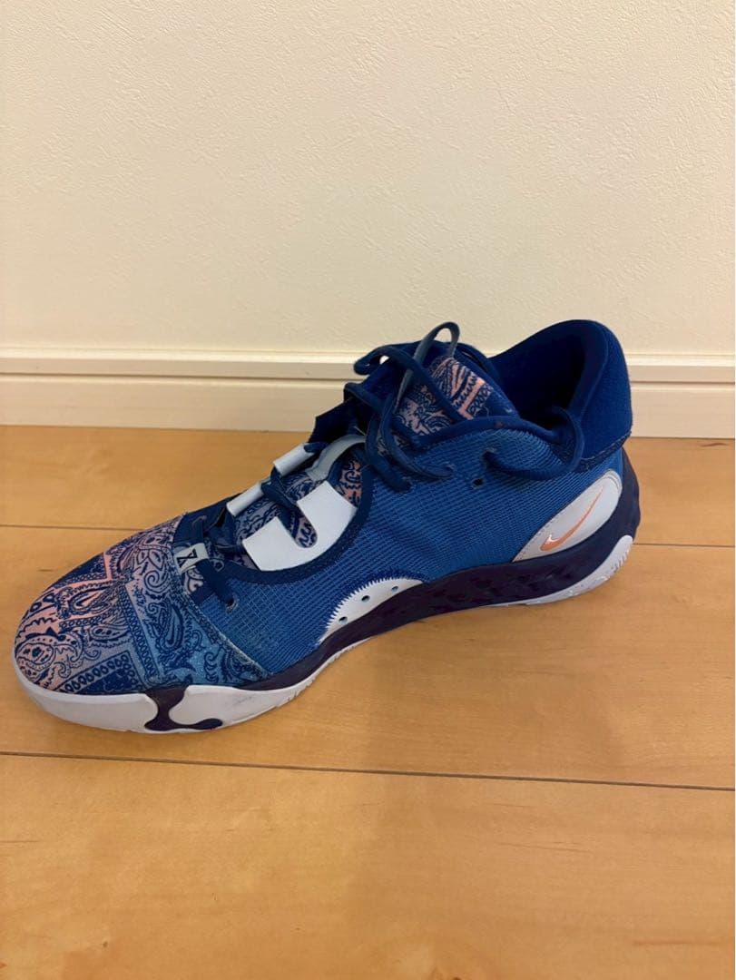 【お値下げ】ナイキ　PG6 ペイズリー　29cm