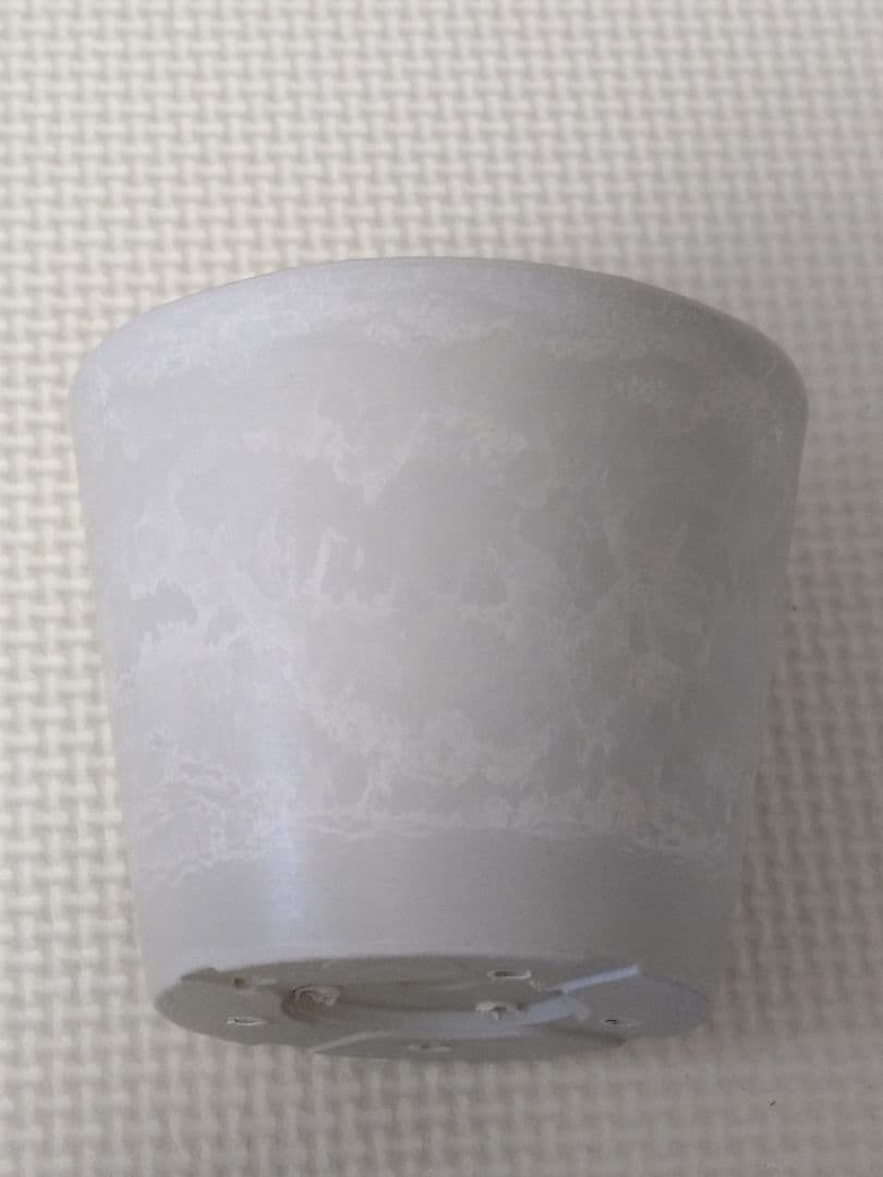 BOTANIZE Backside works. プラ鉢