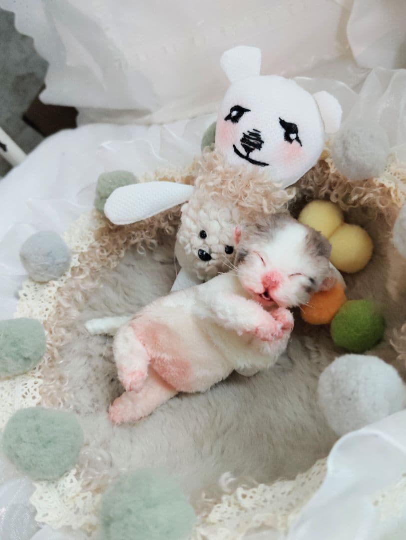 ママ募集❤生後１日子猫ちゃん♡バスケットとクマたん♡アートドール♡ぬいぐるみ♡