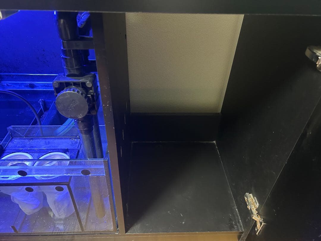 水槽 Red Sea REEFER 350