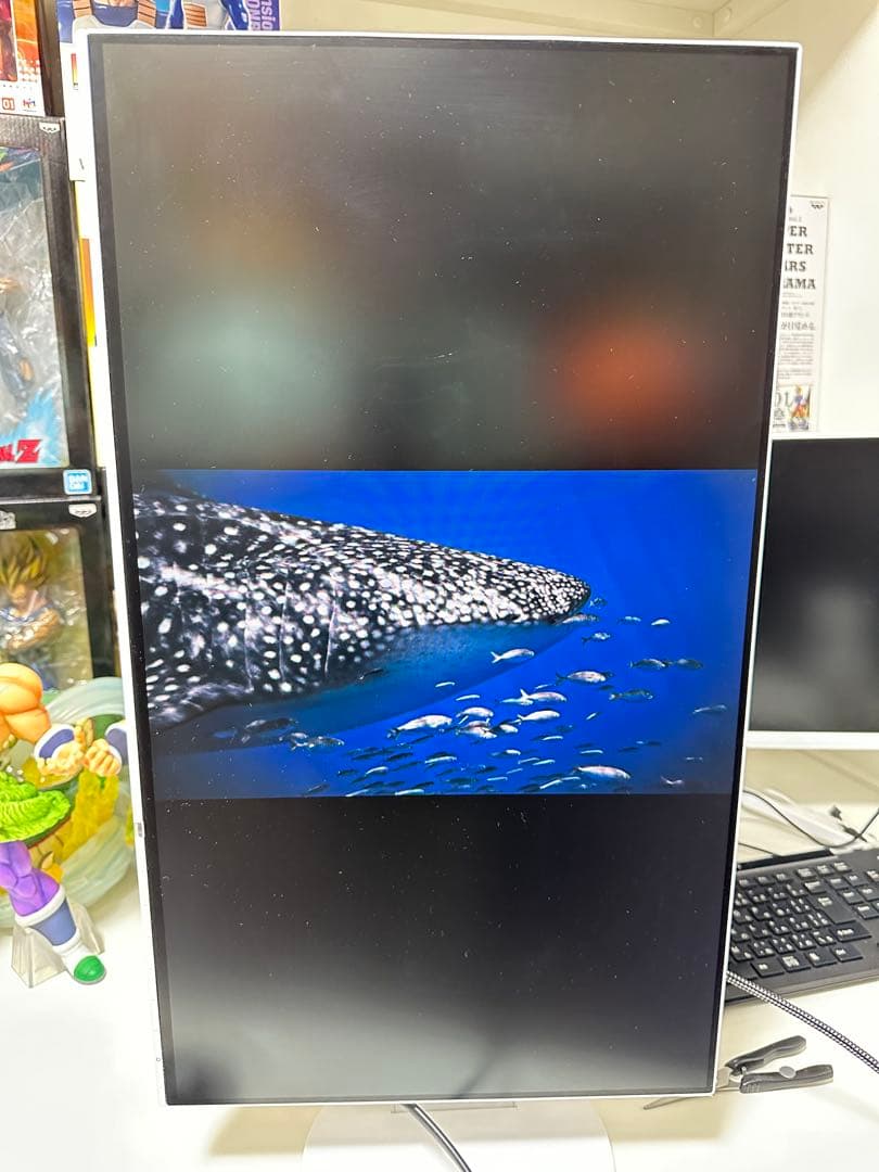 EIZO FlexScan EV2451 フルHD(1920×1080)ホワイト