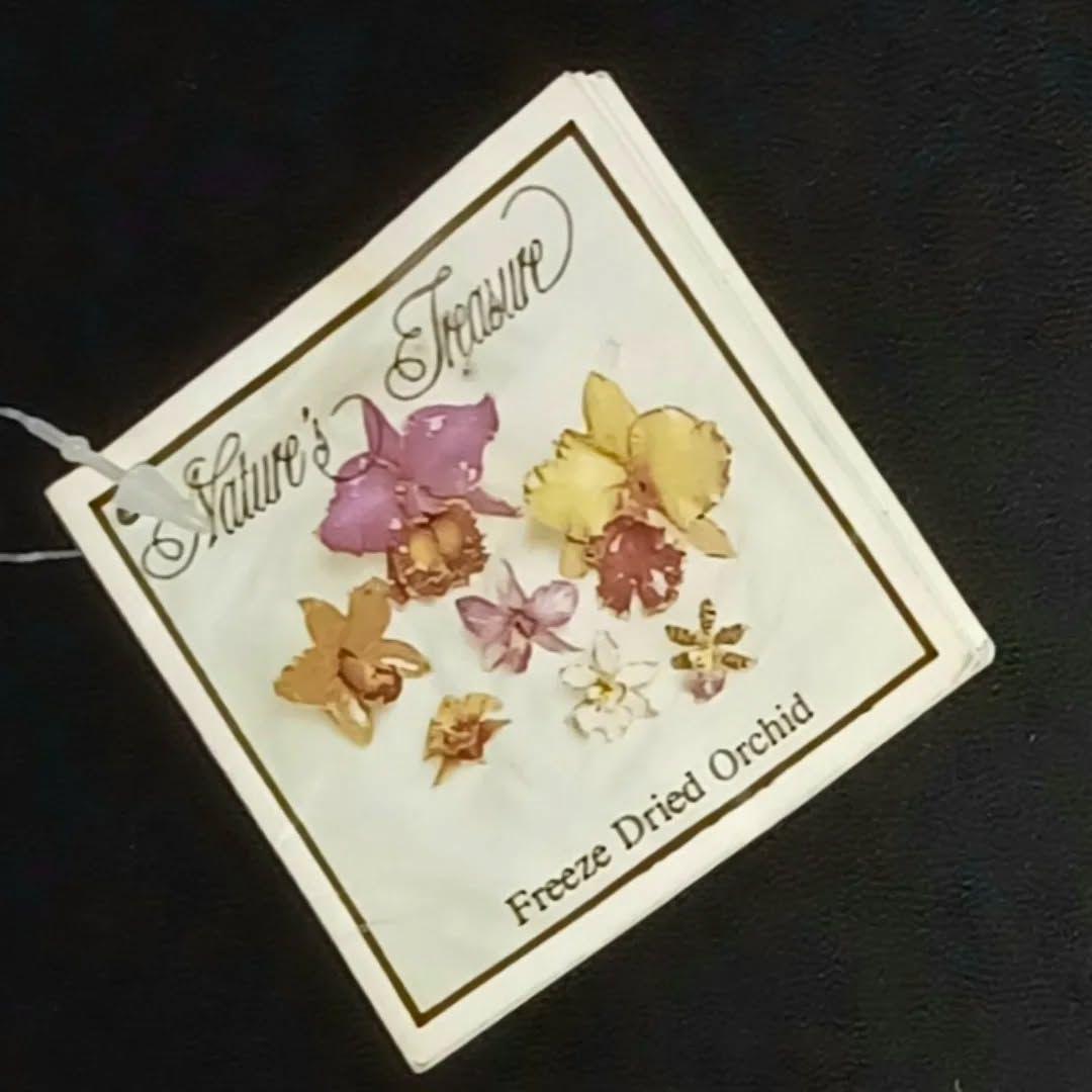 24K♤PURE GOLDエッジ加工／デンドロビウム 蘭 プリザーブドフラワー