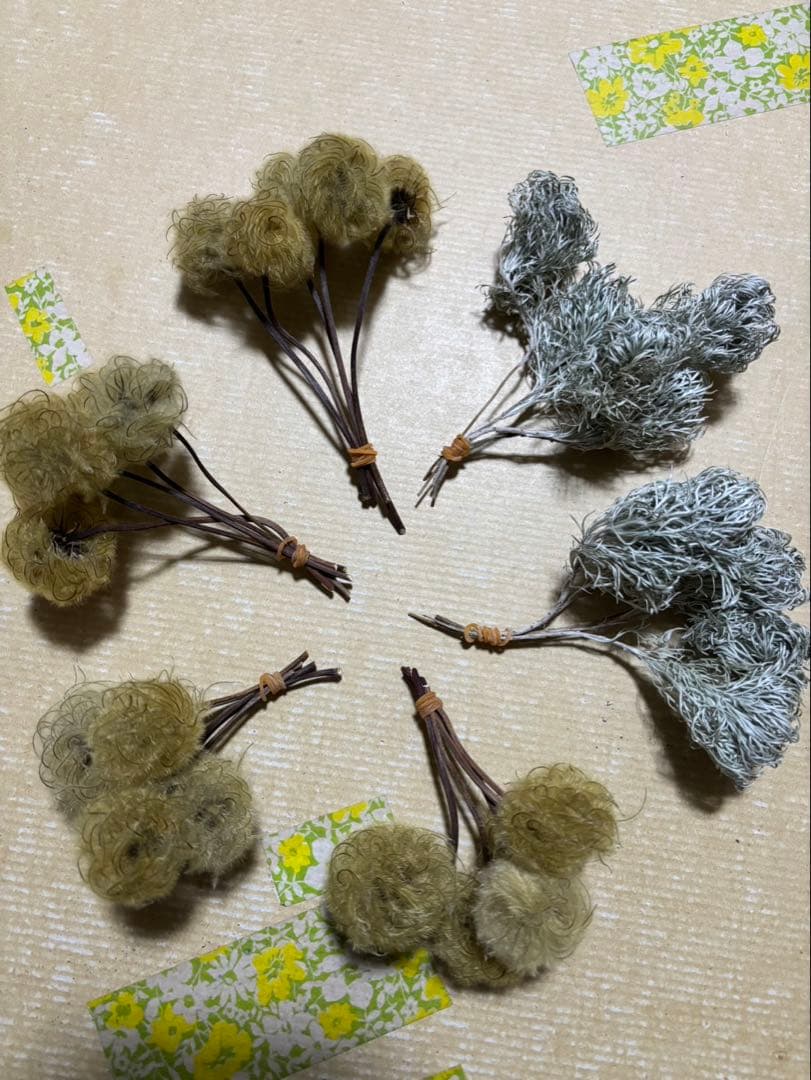 ドライフラワー アサギリソウとクレマチスの花の後