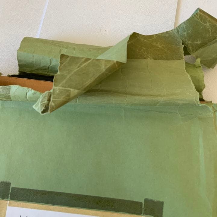 丸尾末廣　リトグラフ　　47/300 青林堂　サイン入り