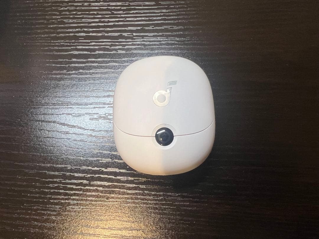 イヤホン soundcore VR P10