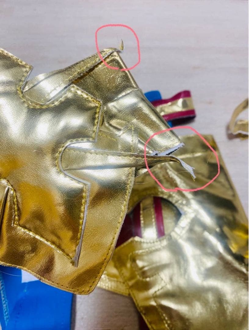 「1月で掲載終了」FGO ブラダマンテ 第三再臨 コスプレ衣装