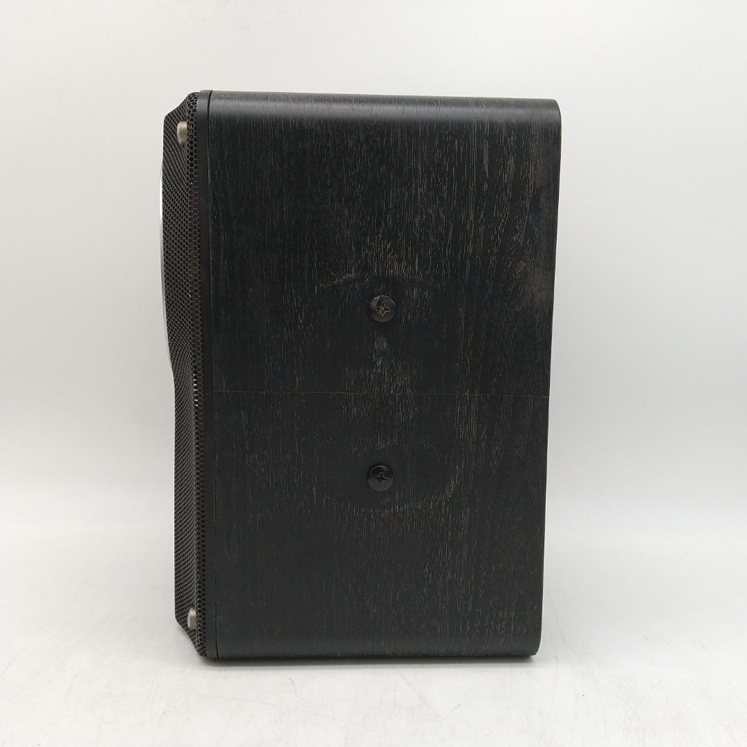 2893番 エクシング JOYSOUND × UGA CS-02 ペアスピーカー