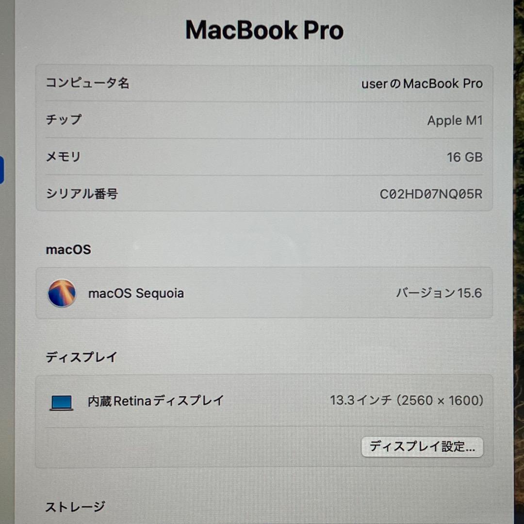 MacBook本体 Apple MacBook Pro M1 2020 16GB 512GB