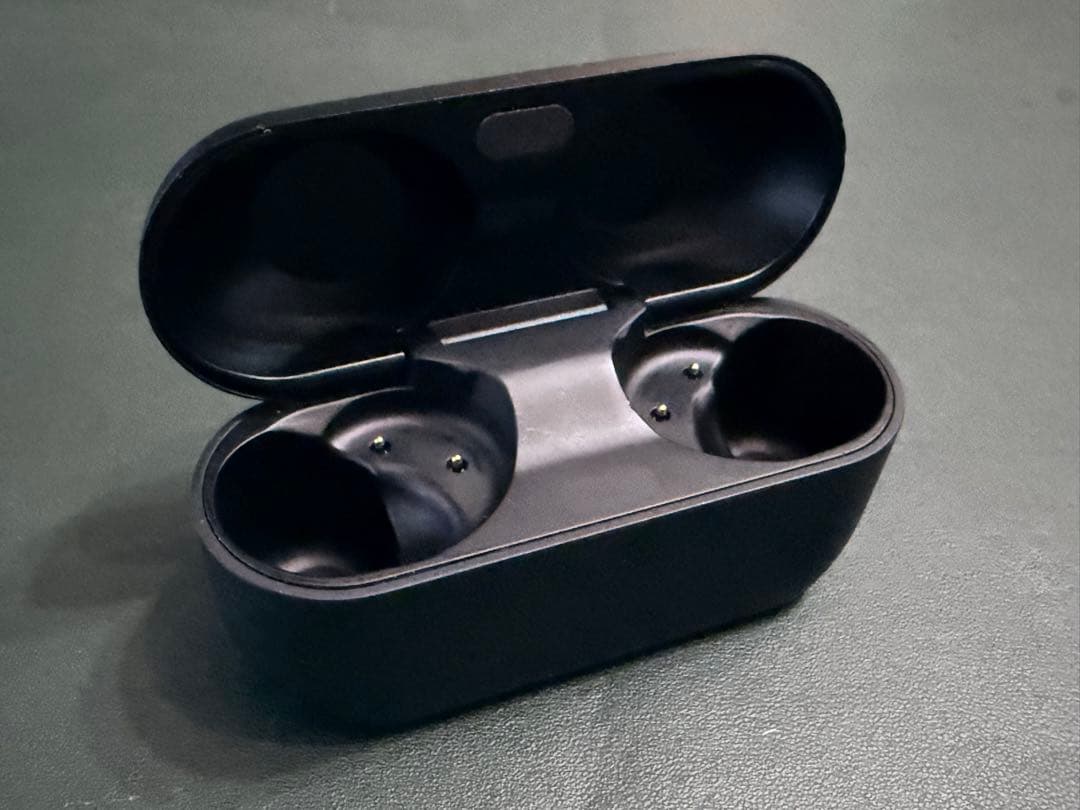 Technics EAH-AZ100(ケースのみ)(ブラック) 美品