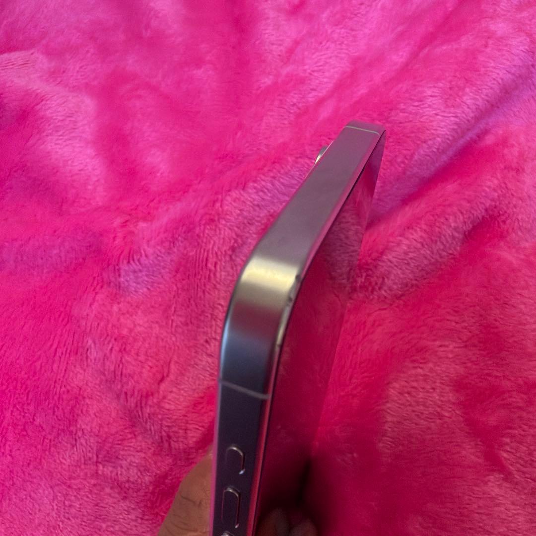 Apple iPhone 15 Pro Max 256GB ホワイトチタニウム