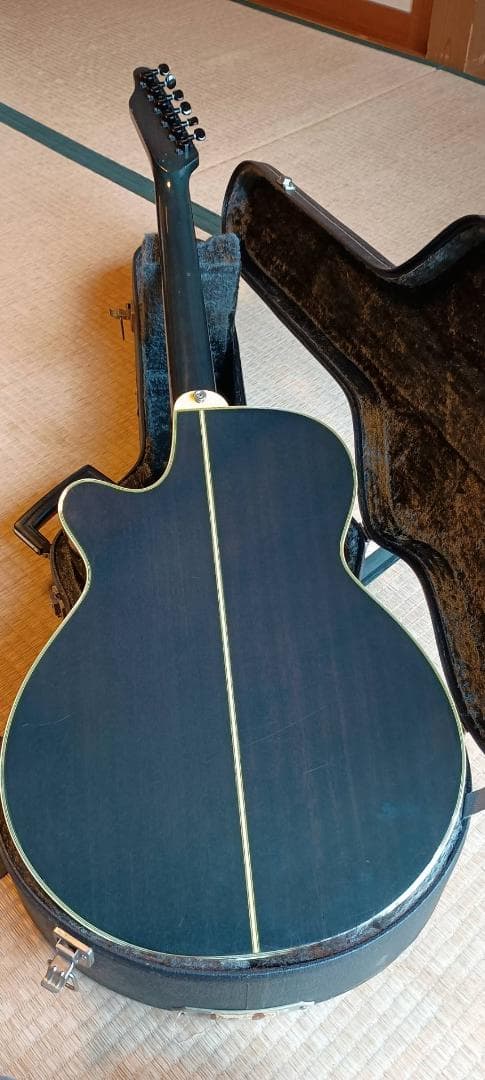 【メンテ済美品】Takamine PT-106-6 専用ハードケース付