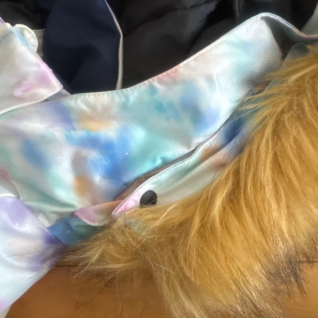 フェニックス Phenixレディース スキーウェア スキージャケット スノボ S