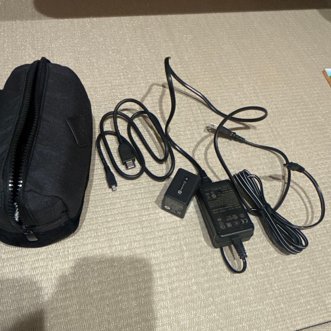 SONY FDR-AX45 4Kビデオカメラ本体