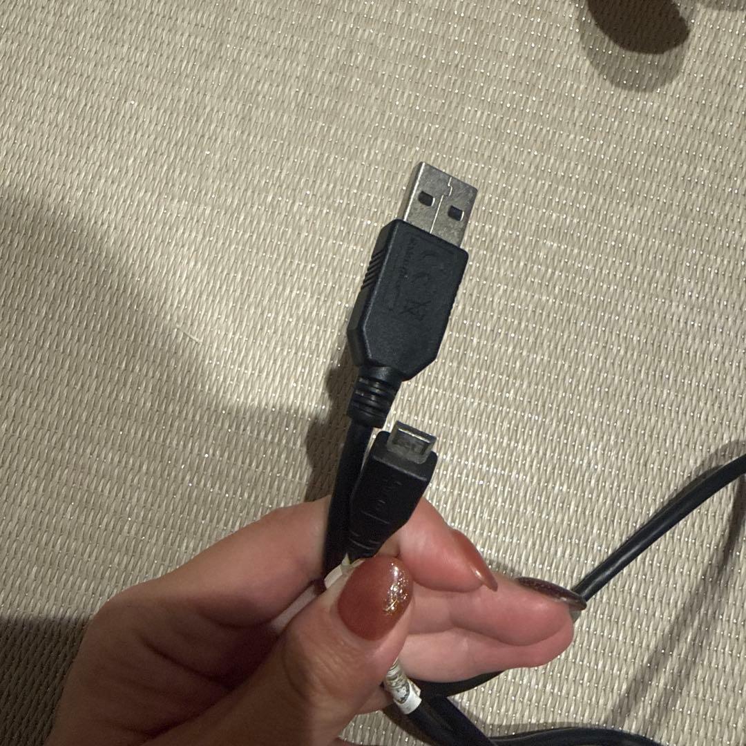 SONY FDR-AX45 4Kビデオカメラ本体