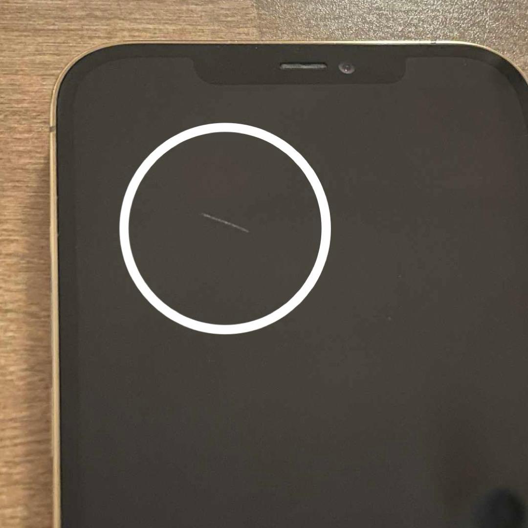 背面ガラスのみ破損♢Apple iPhone 12 Pro Max 512GB