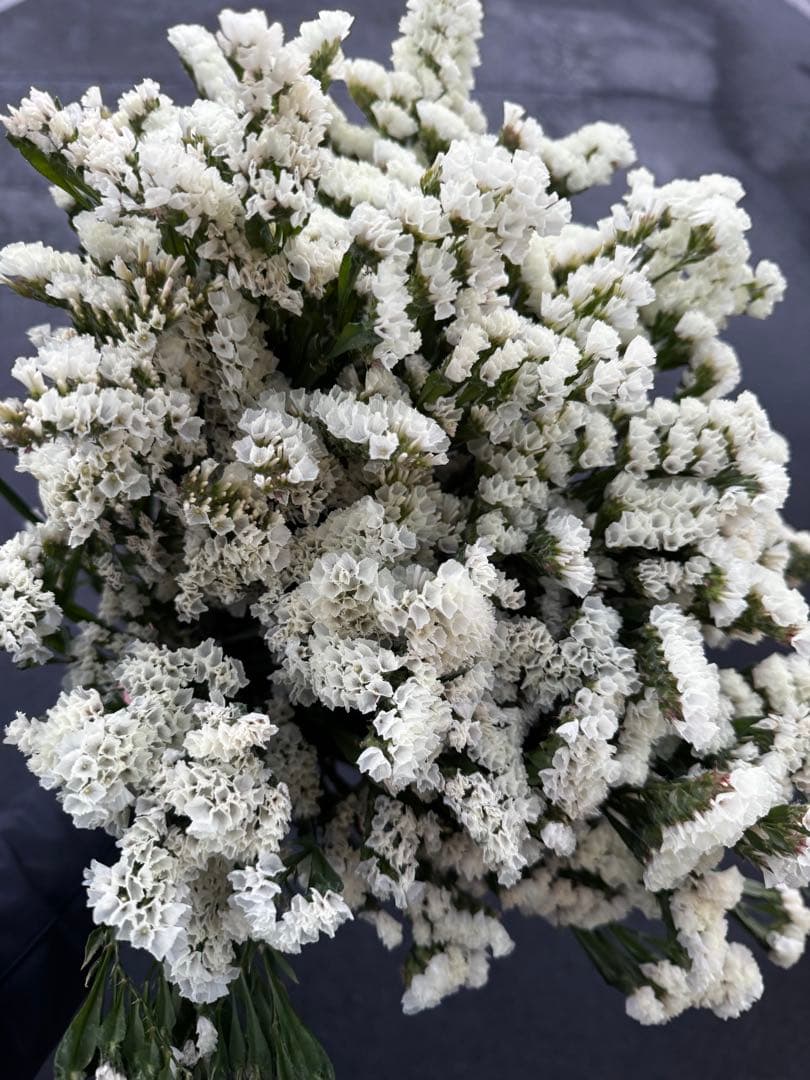 Mari〜様 リクエスト 3点 まとめ商品