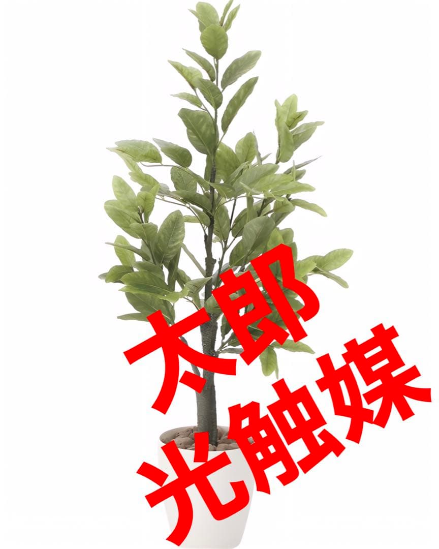 光触媒　人工観葉植物　ウォールグリーン　フェイクグリーン　レモンの木1点もの