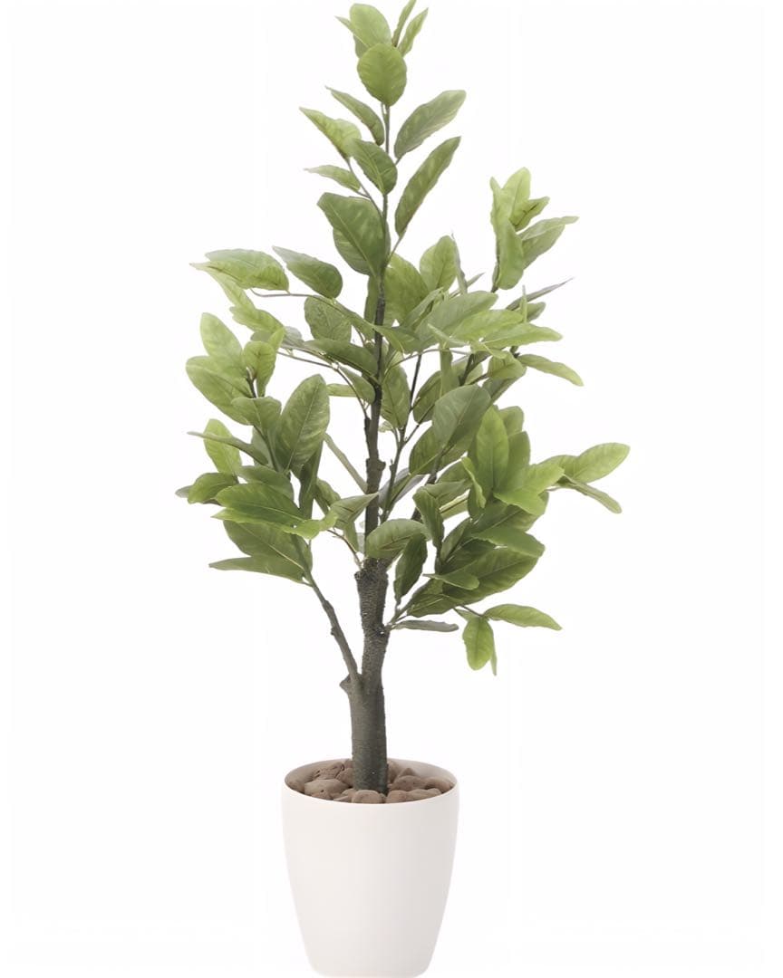 光触媒　人工観葉植物　ウォールグリーン　フェイクグリーン　レモンの木1点もの