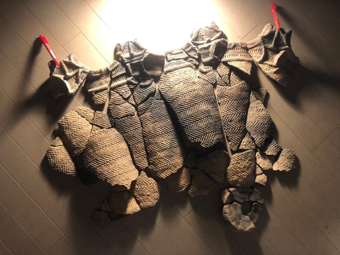 「縄文土器の欠片 No.507」です。