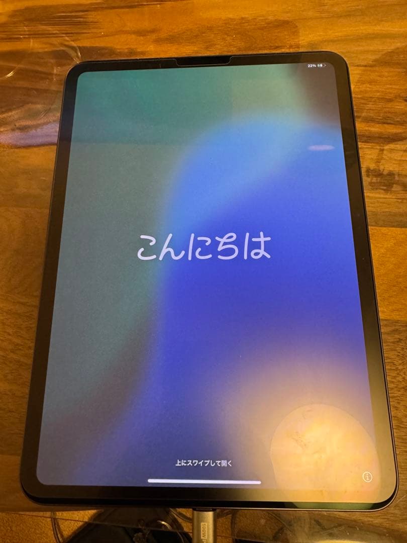 超美品 iPad Pro M4 11インチ Wi-Fi 256GB