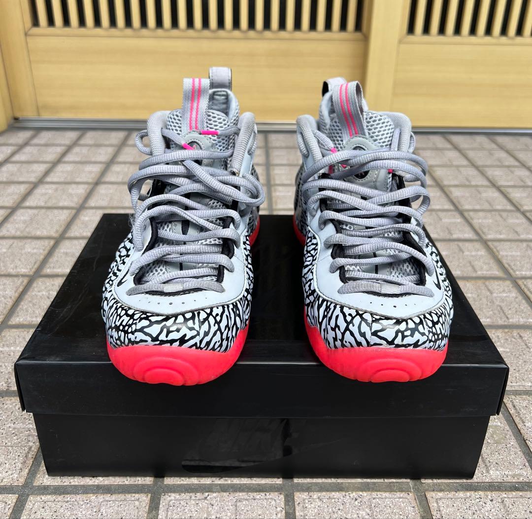 Nike Foamposite エレファント