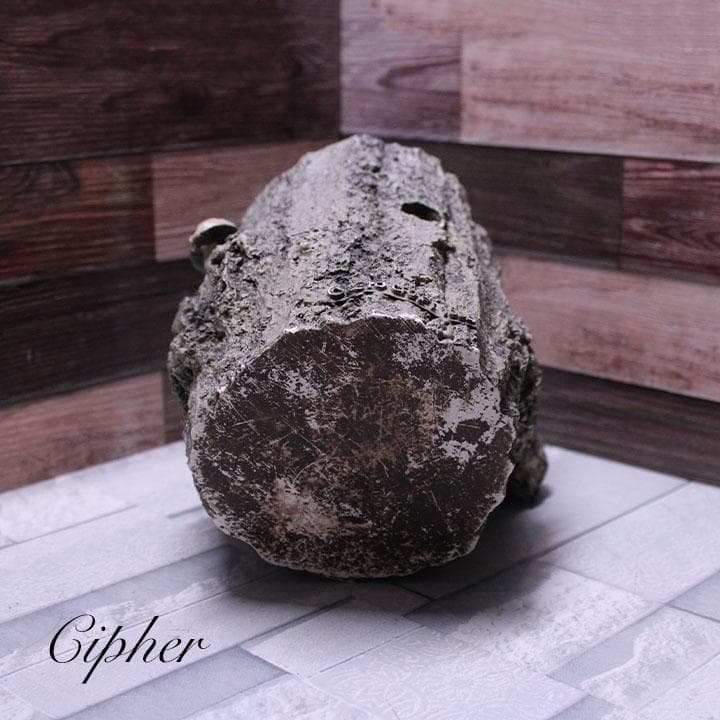 モルタル製　切株　植木鉢　植木鉢カバー　レトロ雑貨　SETO CRAFT　廃盤②