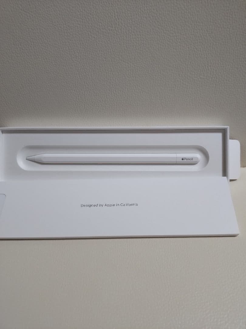 Apple Pencil (USB-C) アップルペンシル