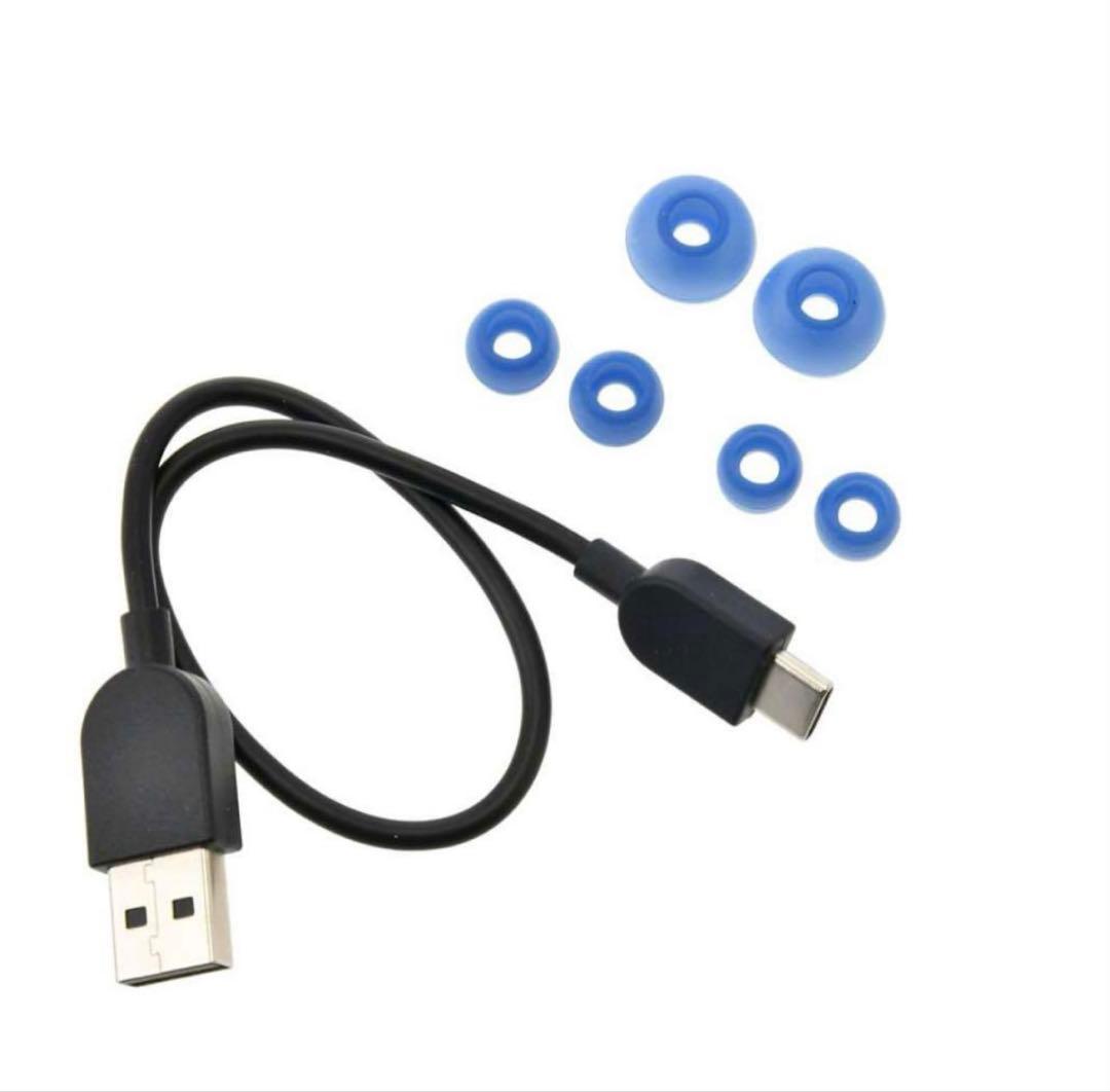 Victor ドナルド ワイヤレスイヤホン Enjoy Music ディズニー