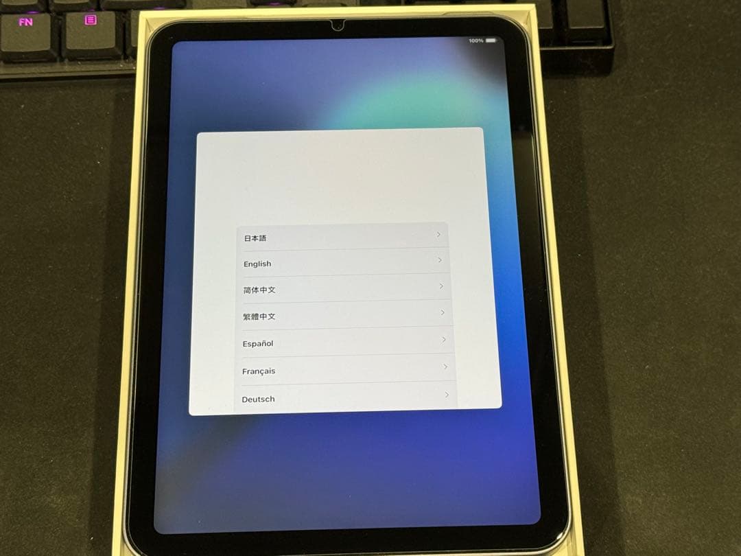 iPad mini 第6世代 256GB パープル Wi-Fi