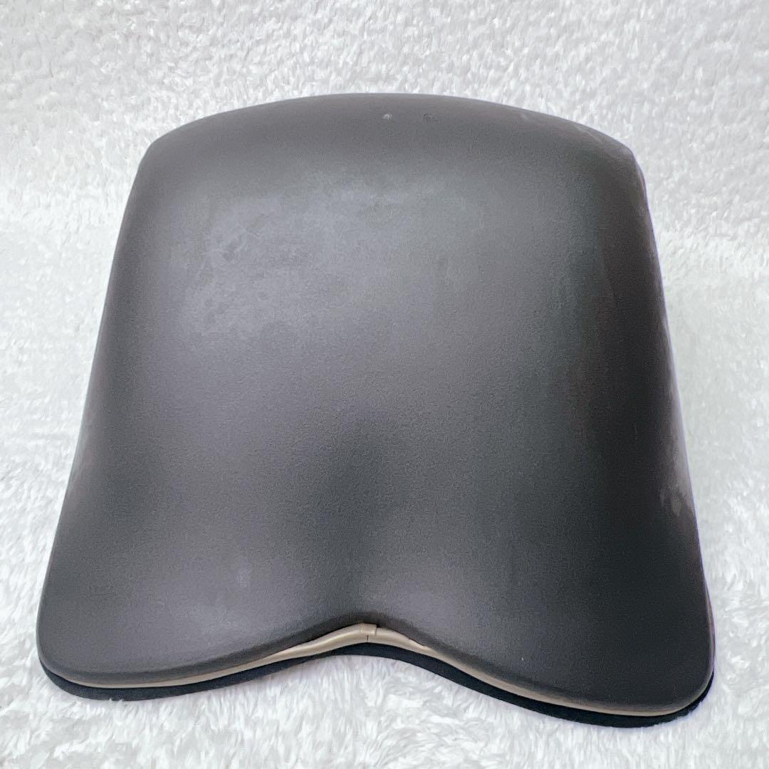 MTG Style PREMIUM スタイル プレミアム 黒 姿勢サポートチェア