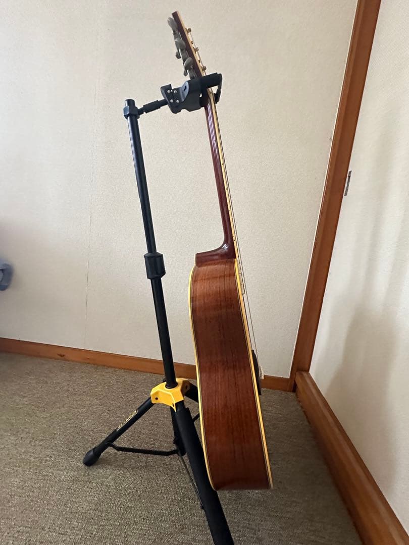 とんぼ　YAMAHA FG700 グリーンラベル ニューハカランダ